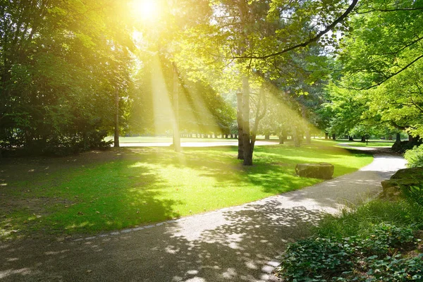 Sluneční Paprsek Krásném Parku — Stock fotografie