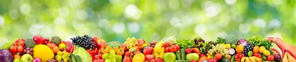 Panoramasammlung Helles Frisches Obst Und Gemüse Auf Unscharfem Grünem Hintergrund — Stockfoto