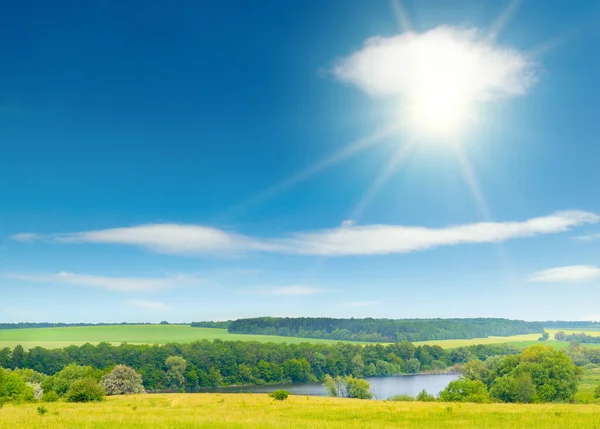 Яркое Летнее Пастбище Свежей Травой Голубым Небом Солнцем — стоковое фото