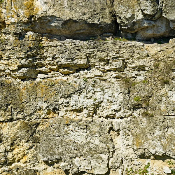 Geological Section Ancient Deposits Shell Rock — Stockfoto