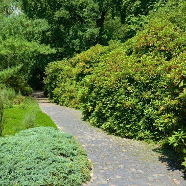 Güzel yaz parkında taş patika.