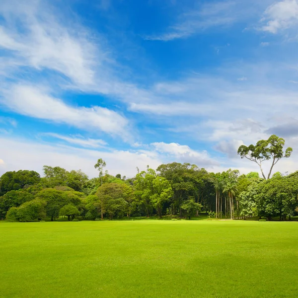 Piękny Duży Park Zielonym Trawnikiem Pokrytym Świeżą Trawą — Zdjęcie stockowe