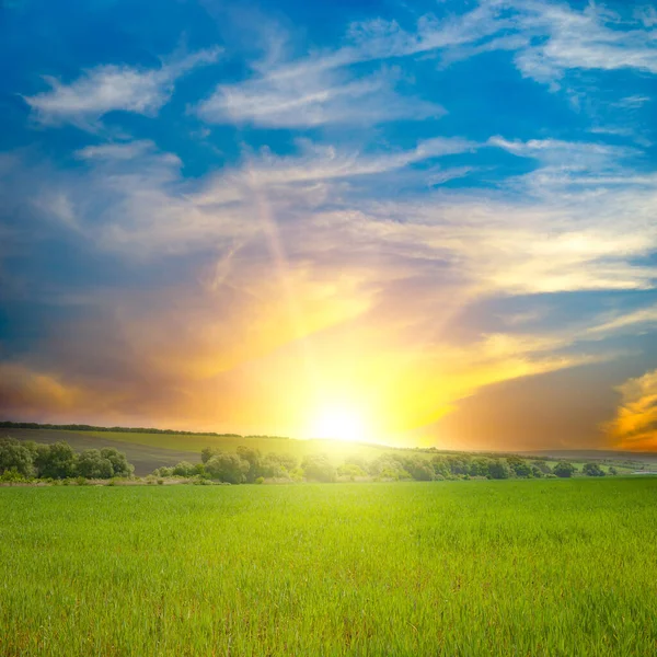 グリーンフィールドの上に美しい日の出 青空と白雲 — ストック写真