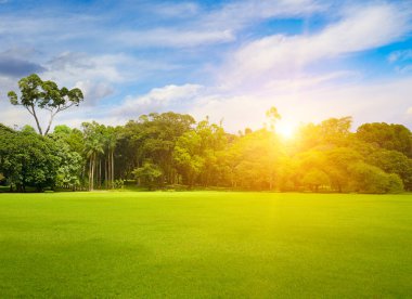 Güneşin doğuşunda yeşil çimenli güzel büyük bir park.