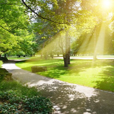 Güneşin doğuşu güzel parkta