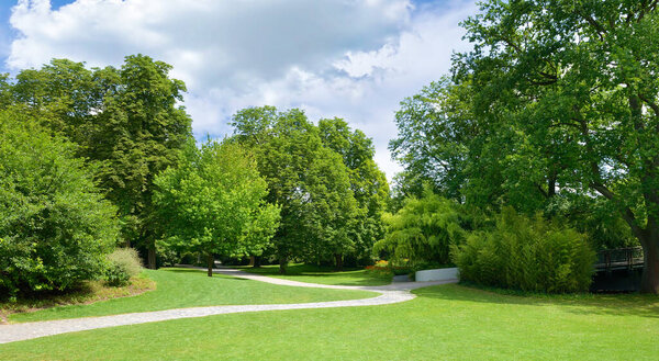 Beautiful meadow in summer park