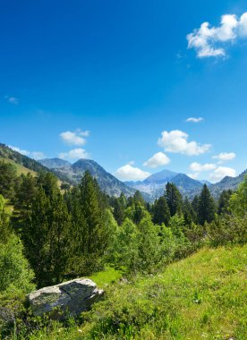 Yeşil çimenler ve çiçeklerle kaplı dağ manzarası. Andorra, Pireneler.