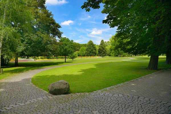 Zomer Park Met Groene Weide Felle Zon — Stockfoto