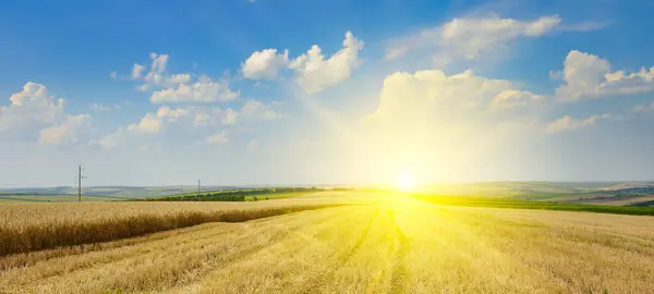 地平線の収穫した小麦畑と明るい太陽の下で安定しています ストック画像