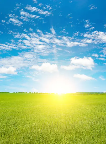 Fantastically Bright Sky Green Farm Field — Stock Photo, Image
