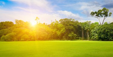 Güneşin doğuşunda yeşil çimenli güzel büyük bir park.