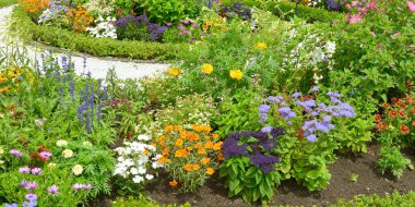 Çiçek açması flowerbed yaz parkta