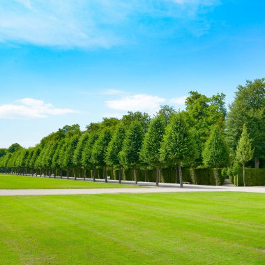 Yaz parkında güzel bir ara sokak