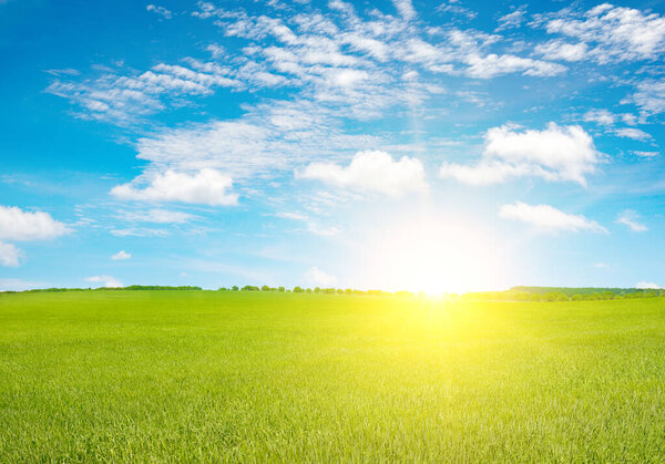 Fantastically bright sky over green farm field.