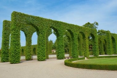 Güzel yaz parkında bir ara sokak.