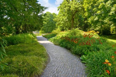 Yaz parkında güzel çiçekler ve ağaçlar