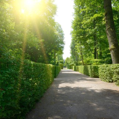 Parlak yaz güneşi şehrin parkındaki sokağı aydınlatıyor.