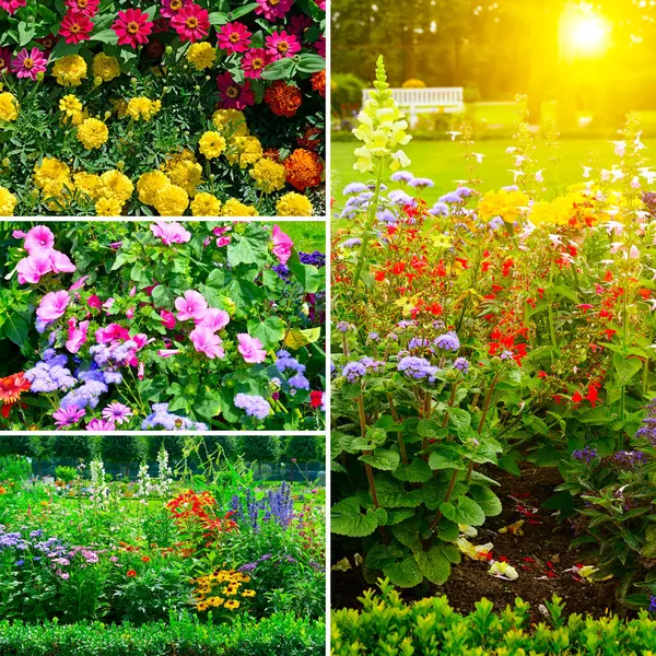 Parlak çiçekli ve yeşil yapraklı güzel yaz çiçeklerinden manzaralar kur.