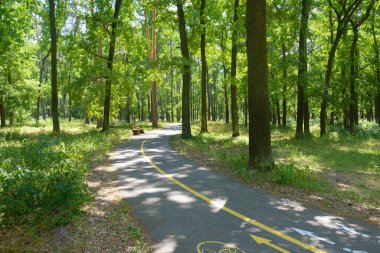 Bisikleti ve yürüyüş yolu olan güzel bir yaz parkı.