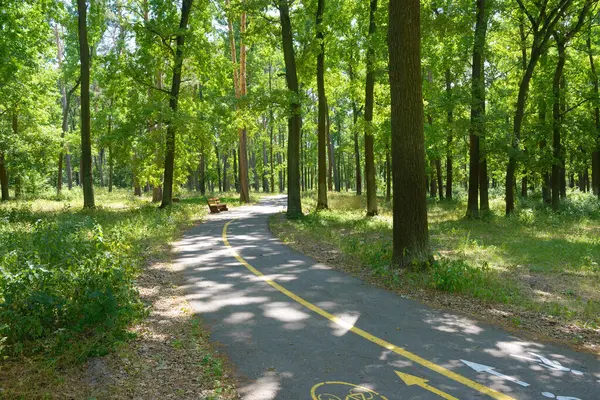 Bisikleti ve yürüyüş yolu olan güzel bir yaz parkı.