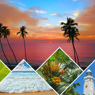 Orijinal çerçevede Sri Lanka adasından parlak tropikal manzaralar koleksiyonu.