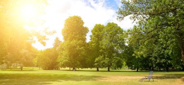 Şehir parkında yeşil çimlerle kaplı dinlenme alanı.