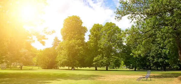 Şehir parkında yeşil çimlerle kaplı dinlenme alanı.