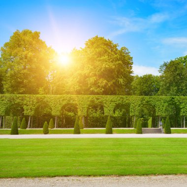 Yeşil çimenli yaz parkında parlak gün doğumu