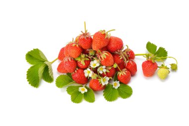 Beyaz arka planda yeşil yapraklı taze olgun çilekler..