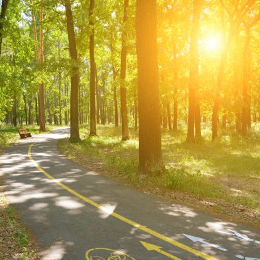 Bisikleti ve yürüyüş yolu olan güzel bir yaz parkında gün doğumu.