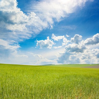 Dağılmış bulutlar ve parlak güneş ışığı ile dramatik bir gökyüzü altında uzanan yeşil alan, doğa, ekoloji veya kırsal manzara kavramları için kopya alanı sunar.