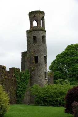 İrlanda 'daki Blarney kalesi, Kuzey Avrupa