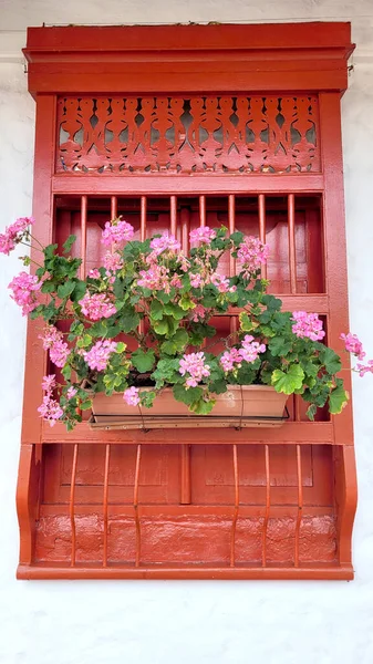 コロンビアの農村部に花の鍋と古い木製の窓の眺め — ストック写真