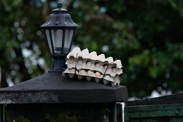 Uitzicht Twee Dozen Eieren Top Van Een Huis Hoofdpoort — Stockfoto