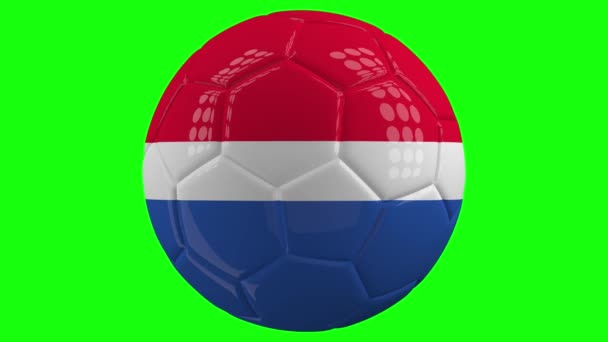 Pallone Calcio Filante Isolato Molto Realistico Con Bandiera Dei Paesi — Video Stock