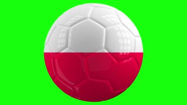 Üzerinde Polonya bayrağı olan çok gerçekçi, izole edilmiş dönen bir futbol topu yeşil ekran arka planı ve kolay izolasyon için alfa matte. Kusursuz döngü 3 boyutlu canlandırma.