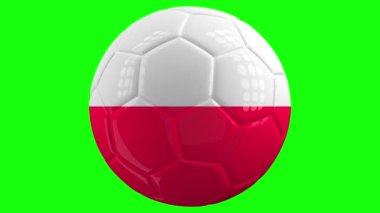 Üzerinde Polonya bayrağı olan çok gerçekçi, izole edilmiş dönen bir futbol topu yeşil ekran arka planı ve kolay izolasyon için alfa matte. Kusursuz döngü 3 boyutlu canlandırma.