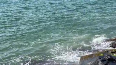 Florianopolis Brezilya 'da Deniz Dalgaları