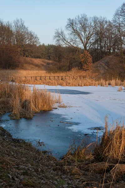 Serene Winter Landscape Featuring Frozen Lake Surrounded Tall Reeds — Stock Photo, Image