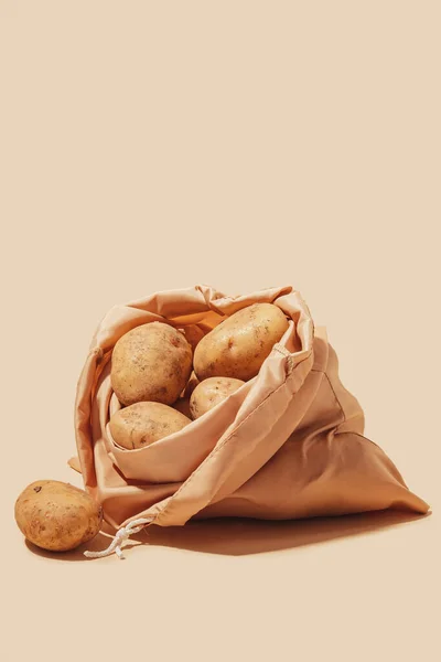 马铃薯储存在环保手提包中 促进有意识和可持续的使用 环保做法的重要性 并鼓励注意消费者行为 免版税图库照片