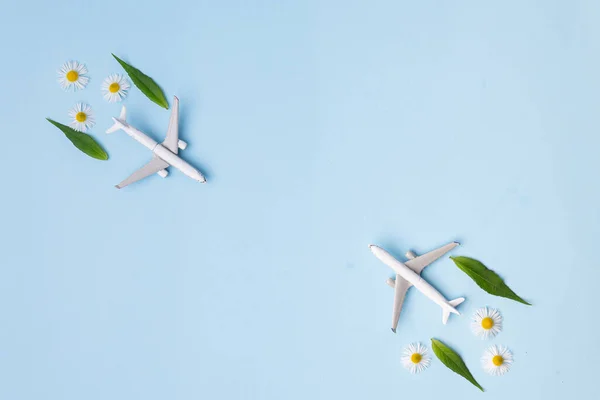 Sustainable Aviation Fuel White Airplane Model Fresh Green Leaves Blue — Stock Photo, Image