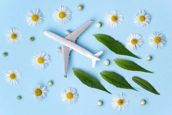 持続可能な航空燃料 白い飛行機モデル 青の背景に新鮮な緑の葉 クリーンエネルギーとグリーンエネルギー 航空産業のためのバイオ燃料 — ストック写真