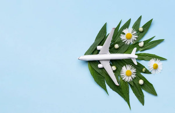 Sustainable Aviation Fuel White Airplane Model Fresh Green Leaves Blue — Stock Photo, Image