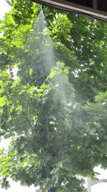 Sıcak havada dışarıda su fıskiyesi