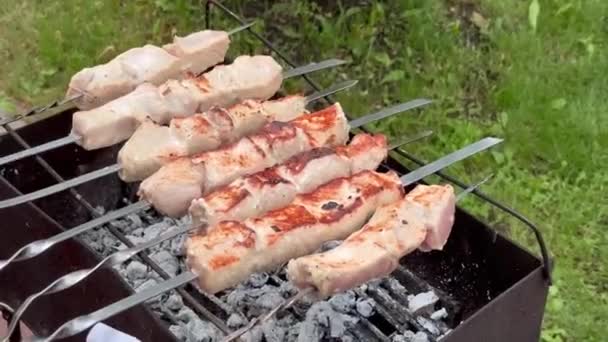 Izgarada Kızartılmış Domuz Kebabı — Stok video