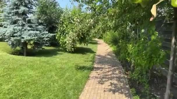 Vydejte Nádhernou Cestu Zahradní Pěšinou Obklopenou Podmanivou Scenérií Bujnou Zelení — Stock video