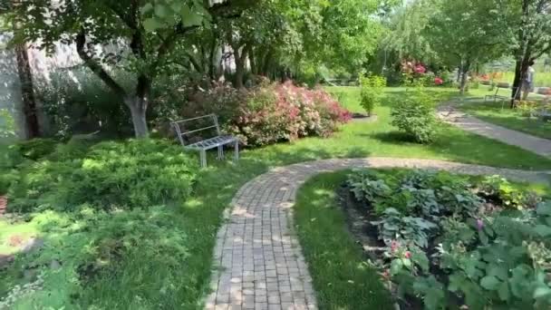 Embark Delightful Journey Garden Path Surrounded Captivating Scenery Lush Greenery — Stock Video