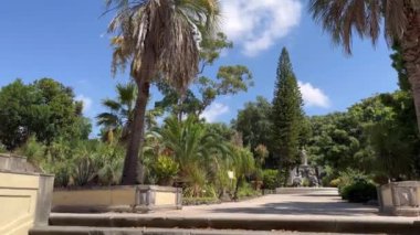 İtalya 'nın Portici kentindeki Napoli Kralları' nın yazlık konutu (saray) yakınlarındaki botanik bahçesi. Sessiz bir yer, uzun ağaçların serinliği, bir şehir parkı.