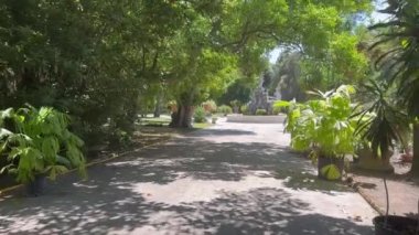İtalya 'nın Portici kentindeki Napoli Kralları' nın yazlık konutu (saray) yakınlarındaki botanik bahçesi. Sessiz bir yer, uzun ağaçların serinliği, bir şehir parkı.
