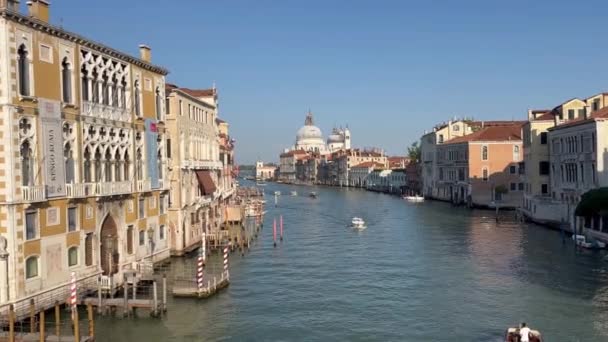 Vista Ponte Accademia Para Catedral Santa Maria Della Saudação Veneza — Vídeo de Stock